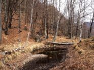 Quel che resta del cosiddetto Laghetto di Cravagliana.