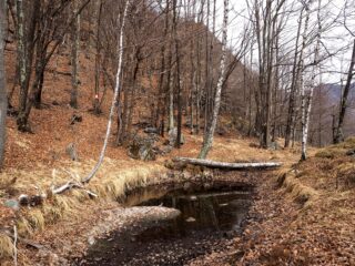 Quel che resta del cosiddetto Laghetto di Cravagliana.