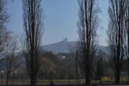 La Basilica di Superga vista dal Meisino