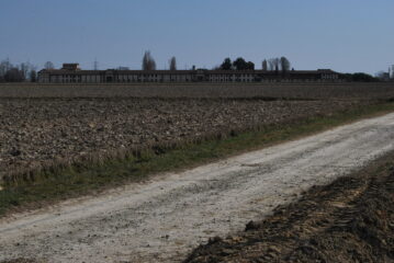 Verso la Tenuta Darola