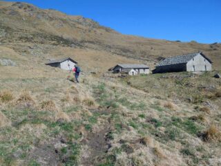 alpe steveglio