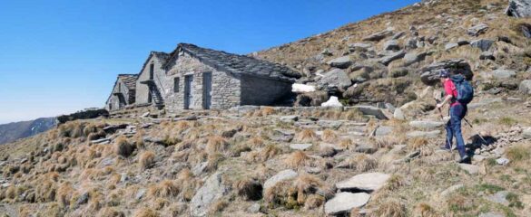alpe buscajun