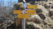 colle Crest