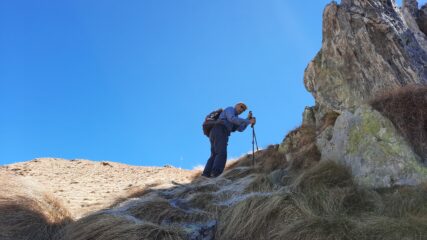 erba olina brinata sull'ultimo tratto