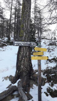consigliabile la salita per il canalone della Doire piu' in condizioni..