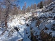 Seconda parte sentiero (8C/8D)