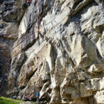 charset=InvalidCharsetId binary comment