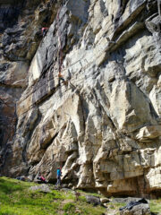 charset=InvalidCharsetId binary comment