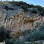 charset=InvalidCharsetId binary comment