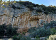 charset=InvalidCharsetId binary comment