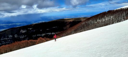 Contrasti forti oggi
