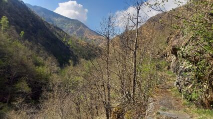 risalendo il rio Richiaglio
