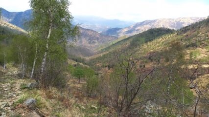 verso Molar del Lupo