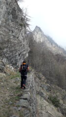 al fondo la rocca Capus dalla mulattiera al Col Content..