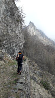 al fondo la rocca Capus dalla mulattiera al Col Content..