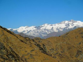 monte rosa