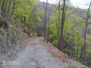 Il percorso di andata, stradone verso le due cascine.