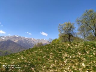 Panorama dalle cascine.