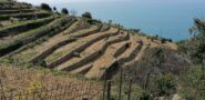 Azienda agricola Stella di Lemman