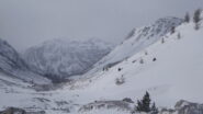 Alto Vallon des Baisses in salita