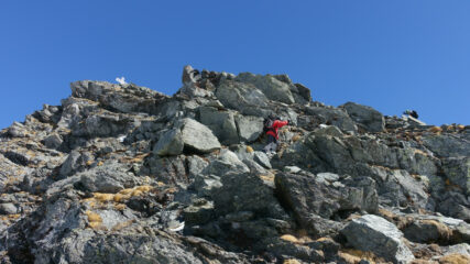 Sulla cresta rocciosa (facile)
