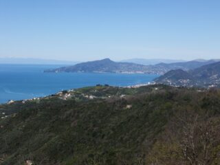 Panorama da sopra al Monte Costello 
