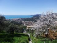 Scendendo , con vista su Chiavari