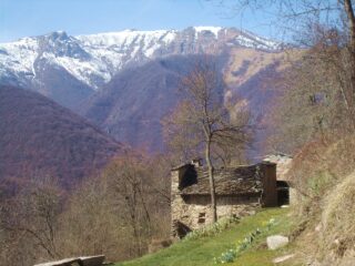 Borgata Cuccetto
