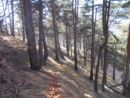 la traccia di salita al Monte Teje