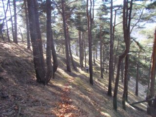 la traccia di salita al Monte Teje
