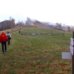 all'uscita dal bosco