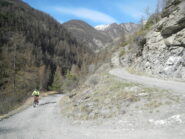 l'agevole sterrato di salita a Desertes