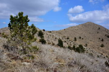 Cresta Ovest monte Bocco