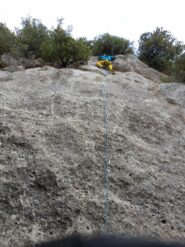 Placca in stile pasticceria...Amica Mucca 6B