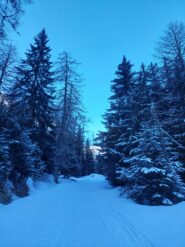 Sembra quasi inverno