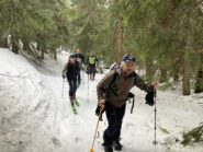 Nel bel bosco di larici, prima di dividerci.