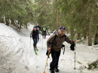 Nel bel bosco di larici, prima di dividerci.