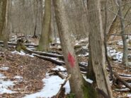 Il sentiero per la Madonnina, finalmente ben indicato.