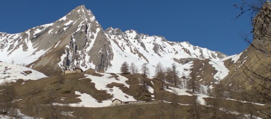 Arp du Bois Superiore