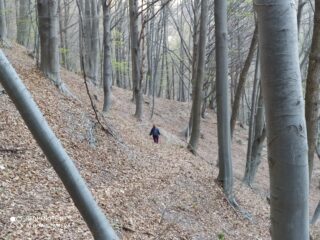 Maria scende per il bosco al rientro.