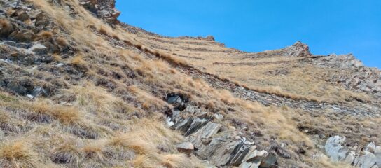 Patrimonio Storico