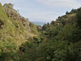 panorama Beodo 1