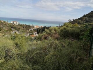 Beodo al ritorno con vista mare
