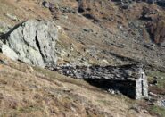 Alpe Pian delle Mule