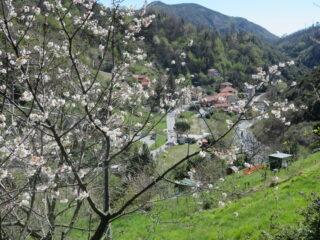 primavera rientrando a S. Carlo