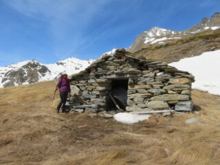 alla casetta a 2300 m. circa