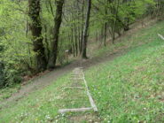  Verso le Grotte di Pugnetto