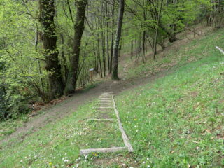  Verso le Grotte di Pugnetto