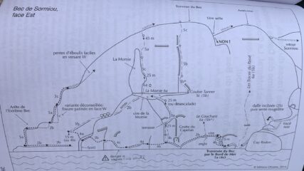 topo con eventuali varianti