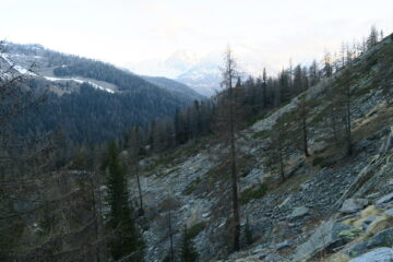 prima parte senza neve